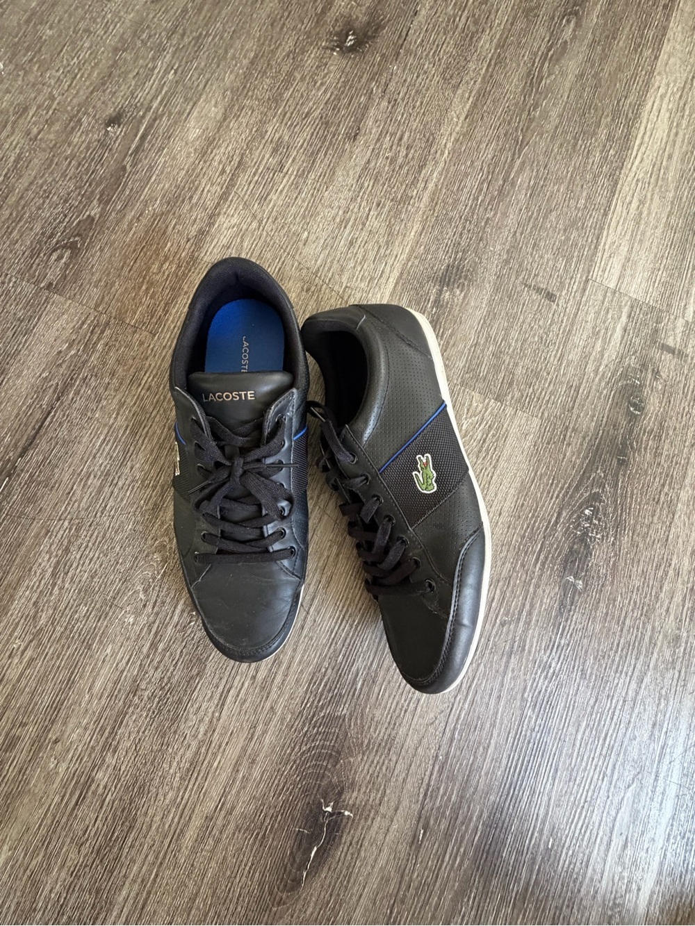 Lacoste Men’s Black Sneakers with Blue Accents
